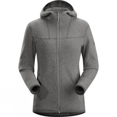 Sudadera Con Capucha Arc'teryx Covert Mujer - Gris - Chile RKO964827